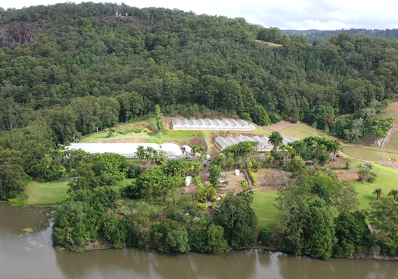 Wide view of the PharmaCrop Noosa Hinterland facility