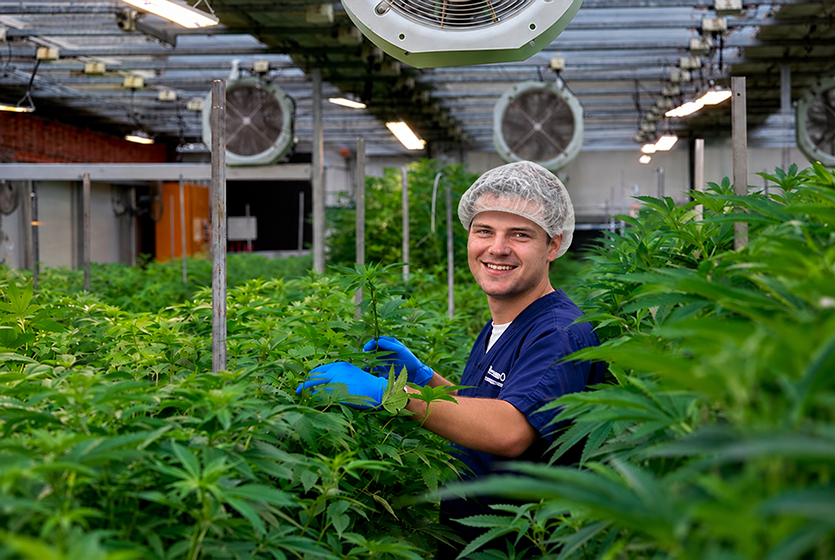 Controlled Cultivation